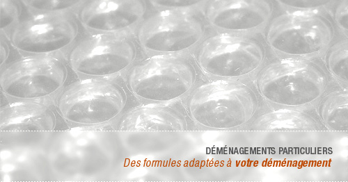 Dmnagements particuliers : Des formules adaptes  votre dmnagement